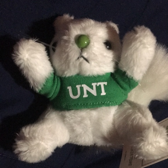 UNT Lucky Albino Squirrel unofficial Mascot Univeristy North Texas white NWT - Picture 5 of 5